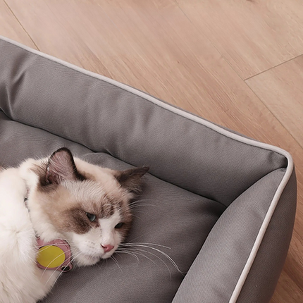 Lazy Lounger Pet Bed